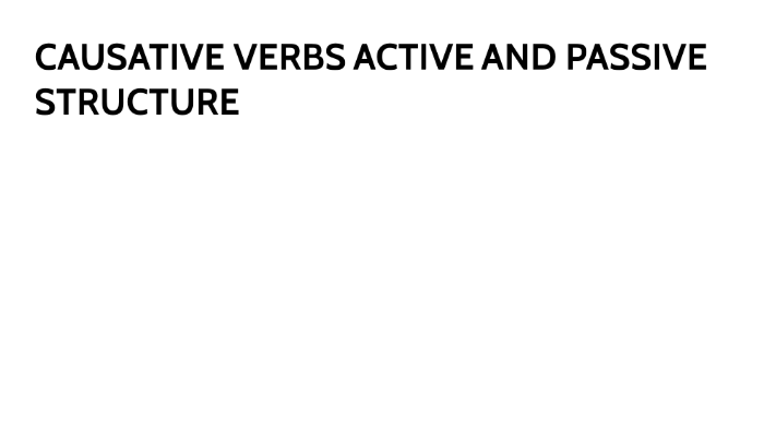 Causative Verbs By Alejandro Maldonado Leon