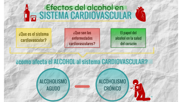 Efectos Del Alcohol En El Sistema Circulatorio