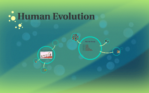 Human Evolution by Kimberly Bazemore on Prezi
