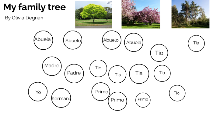 My family tree. by Olivia Degnan on Prezi