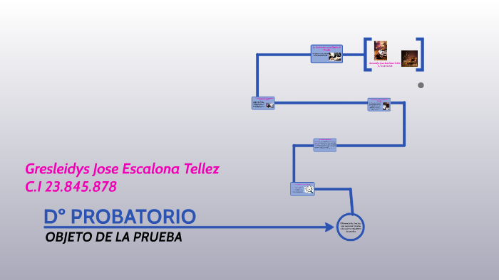 Derecho Probatorio Objeto De La Prueba By Gresleidys Escalona On Prezi