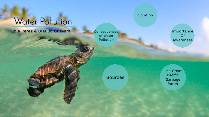Water Pollution Lola & Braulio by Lola Perez on Prezi