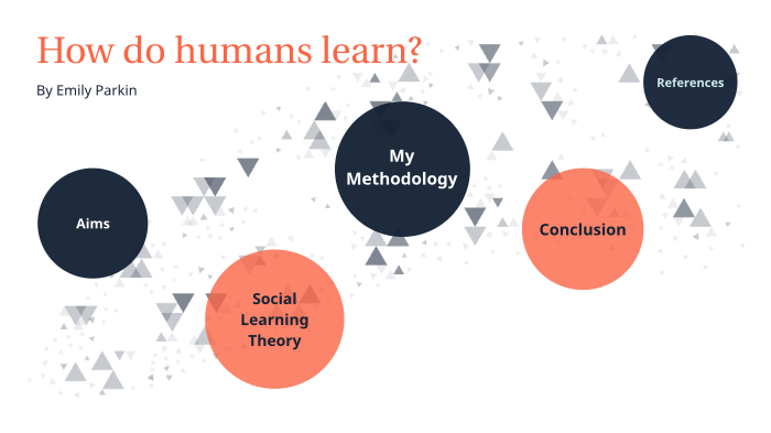 How do humans learn? by Emily Parkin on Prezi
