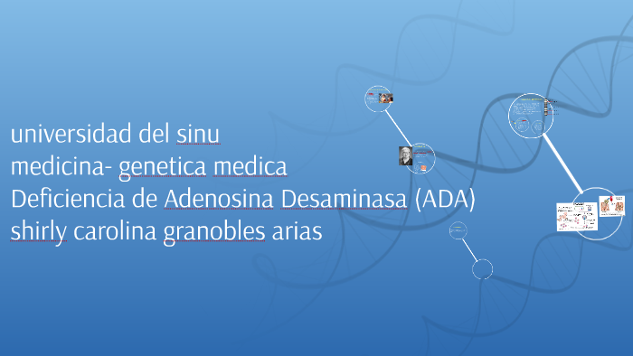 Deficiencia de Adenosina Desaminasa (ADA) by shirly granobles on Prezi