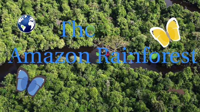 The Amazon Rainforest by Judith Martinez on Prezi