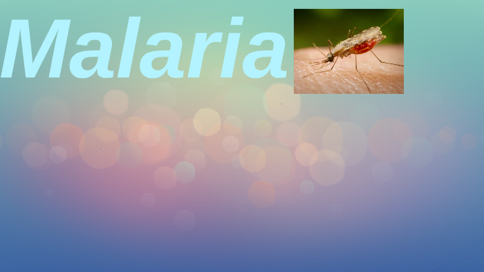 Malaria by Rachel Pastor on Prezi