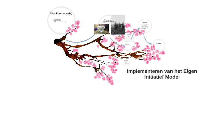 Implementeren Van Het Eigen Initiatief Model By Ylse V On Prezi