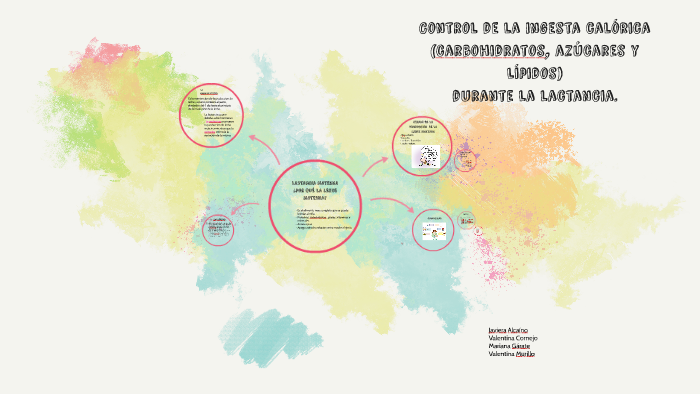 Control De La Ingesta Calórica Carbohidratos Azúcares Y Lí By Javiera Alcaino On Prezi Next 6946