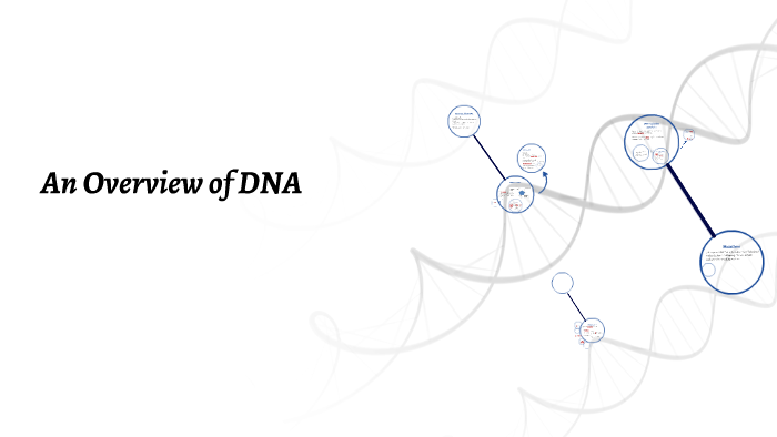 An Overview of DNA by maddy marquardt on Prezi