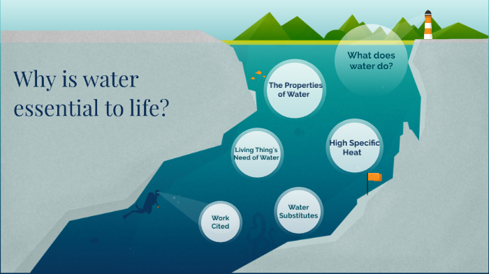 why-is-water-essential-to-life-by-ana-torres