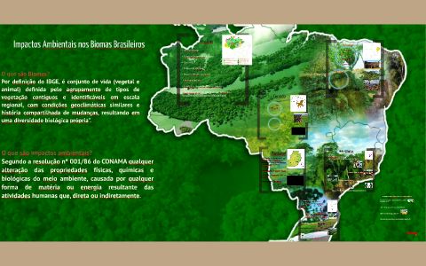 Impactos Ambientais nos Biomas Brasileiros by Fernanda Carvalho