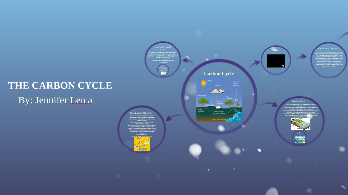 THE CARBON CYCLE by Jennifer Lema on Prezi