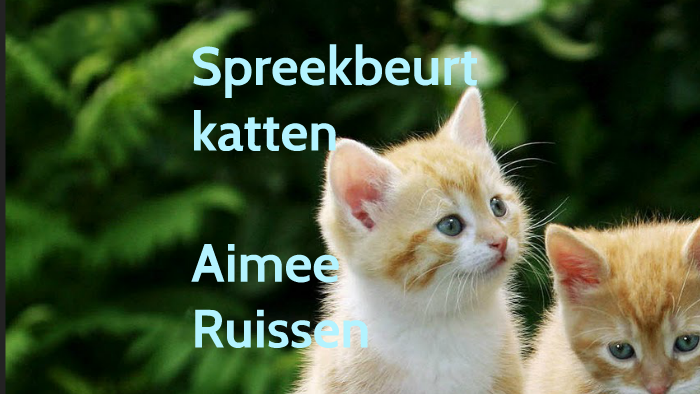 Spreekbeurt katten by aimee ruissen on Prezi