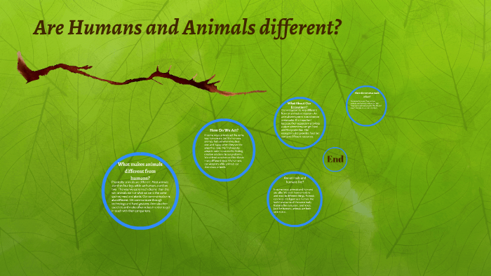 Are Humans and Animals different? by Luis Lopez