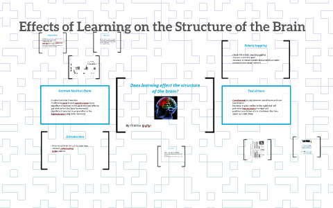 Brain Changing Structure Learning Effects of Learning on the Structure of the Brain by Thomas Kieffer on ...