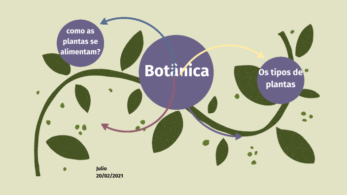 Mapa Mental De Botânica By Julio Silva On Prezi 6240