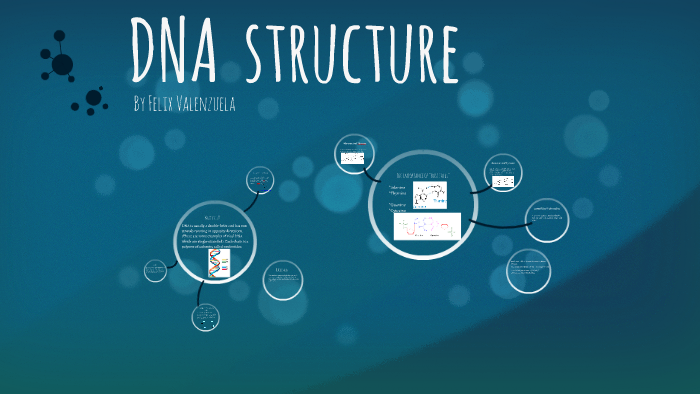 DNA Structure by Felix Valenzuela on Prezi