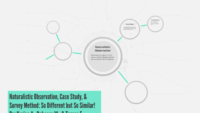 naturalistic observation case study