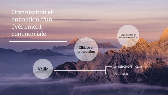 Fiche E4 Organisation Et Animation D'un Evenement Commercial