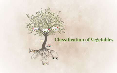 Classification of Vegetables by jade carter on Prezi