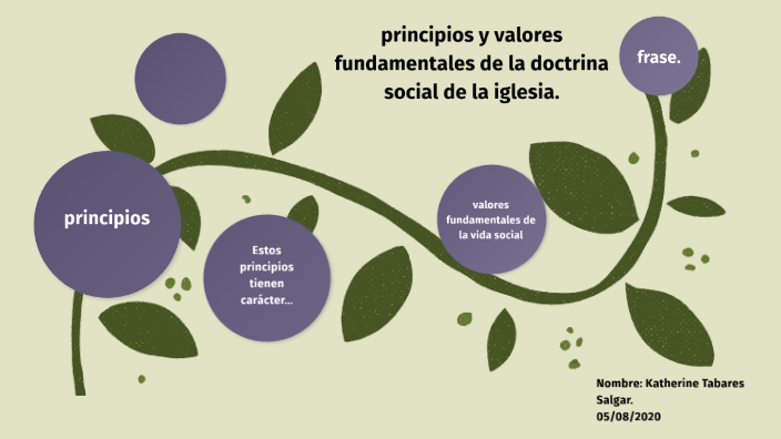principios y valores fundamentales de la doctrina social de la iglesia ...