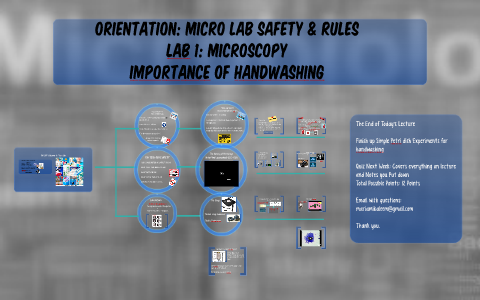 MICROBIOLOGY SAFETY & RULES By Mariam Kaleem