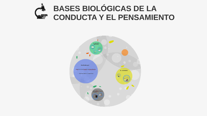 BASES BIOLÓGICAS DE LA CONDUCTA Y EL PENSAMIENTO By On Prezi