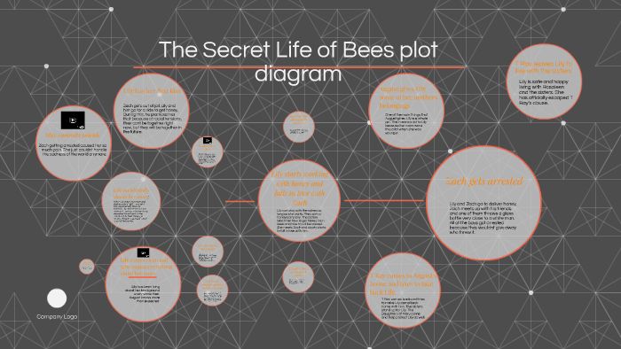 secret life of bees plot diagram