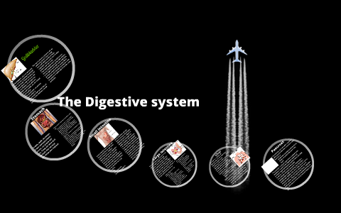 Digestive system by on Prezi