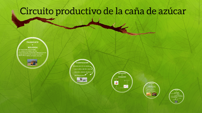 Circuito productivo de la caña de azúcar by joaquina lugones on Prezi