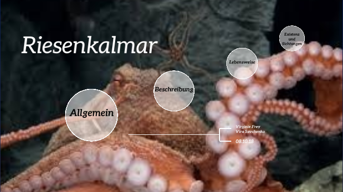 Riesenkalmar By Vira Frey On Prezi Next