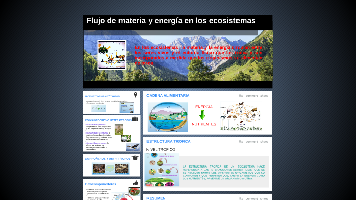 Flujo de materia y energía en los ecosistemas by jefferson torres on Prezi  Next