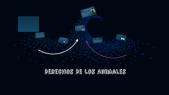 Derechos De Los Animales by Iván Villarroel