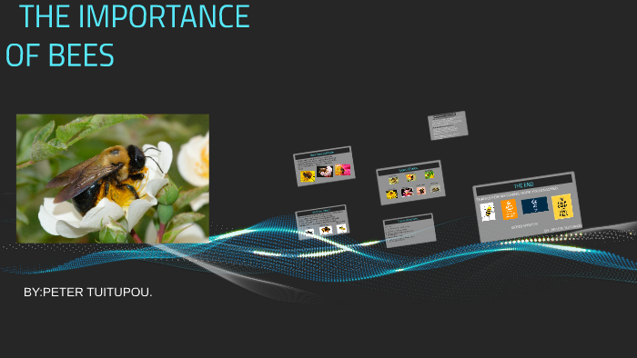 the importance of bees by peter Tuitupou on Prezi