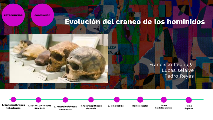 características del cráneo del homo heidelbergensis