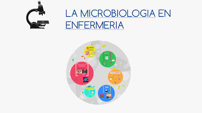LA MICROOBIOLOGIA EN LA ENFERMERIA by cinthia cano soto
