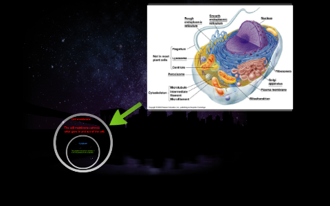 Cells vs Basketball Team by Sam Park on Prezi