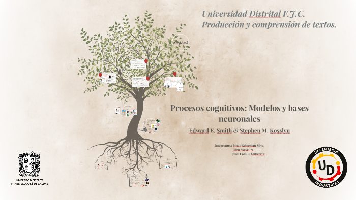 Procesos Cognitivos E Book Modelos Y Bases Neuronales prezi.com