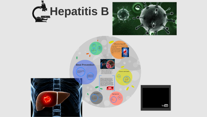 Hepatitis B by Ashlyn Breakfield on Prezi