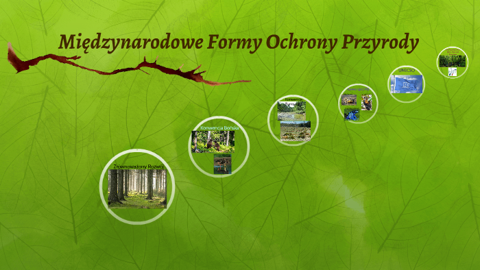 Jedna Z Form Ochrony Przyrody Międzynarodowe Formy Ochrony Przyrody by Piotr Ziółkowski on Prezi