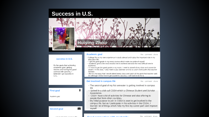Success in U.S. by on Prezi