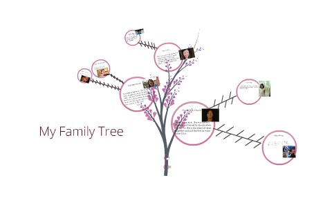 Family Tree by Megan Phung on Prezi