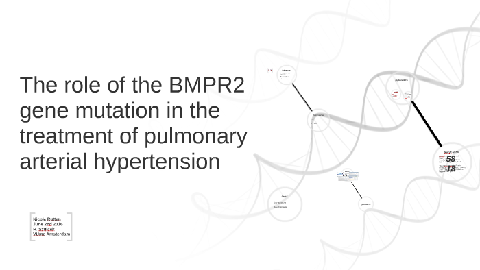The role of the BMPR2 gene mutation in the treatment of pulm by Nicole ...