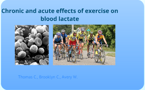 Chronic and Acute Effects of Exercise on Blood Lactate by Tom Doe on Prezi