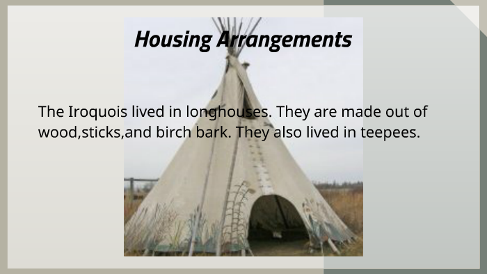 iroquois tribe houses