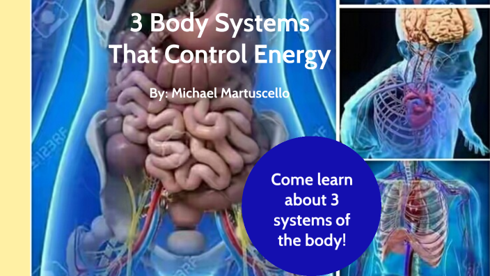 3 Body Systems by Michael Martuscello on Prezi