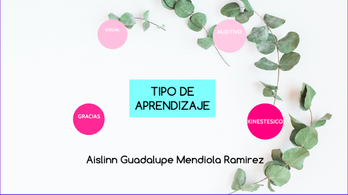 Tipos de Aprendizaje by Aislinn Guadalupe Mendiola ramirez on Prezi