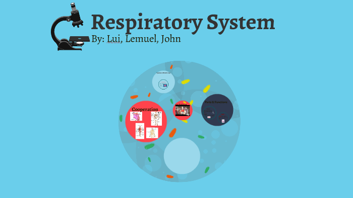 Respiratory System by __ __ on Prezi