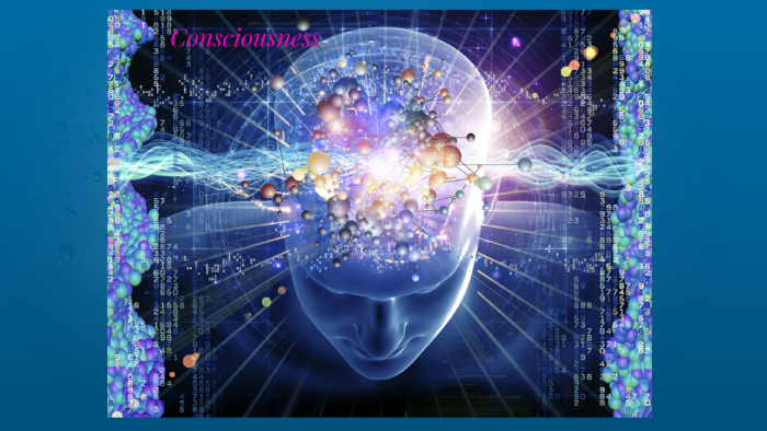 Chapter 4 - States of Consciousness - Chapter 4 by Angel Jowers on Prezi