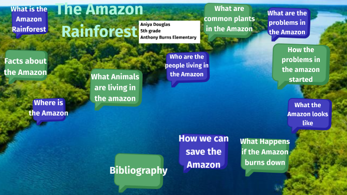 The Amazon Rainforest by Aniya Douglas on Prezi